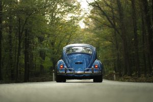 volkswagen beetle in the forest